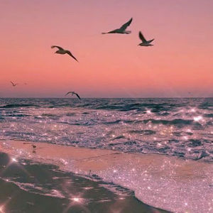 Meet your Posher, Michaela